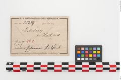Etiketten zu Eisenschaftlappenbeil (NHMW-PRAE-025059)